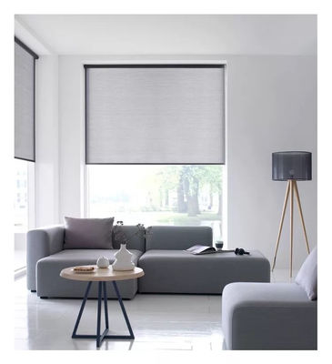 China Factory L10 System Rolling Curtains สารหน่วงไฟ 90% ช่องเปิด, เลนส์